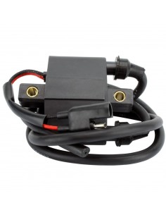 Bobine HT Arctic Cat Cheetah Cougar Jag Pantera Panther Prowler Mountain Cat ZL 440 OEM 3003-575 3005-386 3005-341