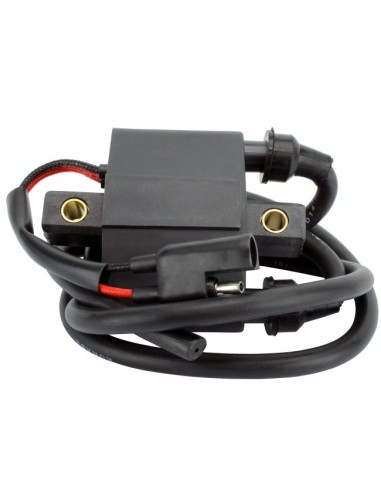 Ignition Coil Arctic Cat Cheetah Cougar Jag Pantera Panther Prowler Mountain Cat ZL 440 OEM 3003-575 3005-386 3005-341