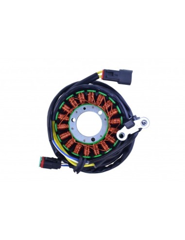 Stator CanAm DS450 OEM 420296323