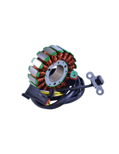 Stator Allumage CanAm DS450 OEM 420296323