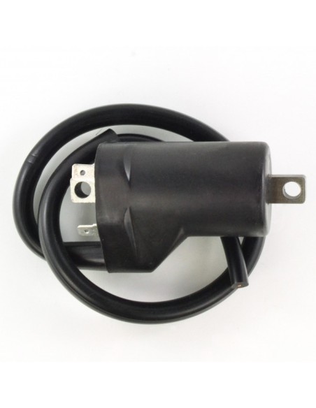 HT Coil Arctic Cat TRV 500 550 700 1000 Arctic Cat 1000 550 700 Prowler 550 700 1000 TBX700 Thundercat OEM 0824-043 3004-126