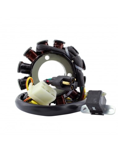 Stator Snowmobile Polaris 500 550 Indy 550 Widetrak 550 IQ LXT OEM 3090362