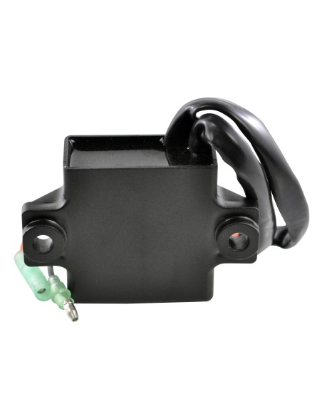 Boitier CDI Arctic Cat Panther 370 440 Z440 Z370 OEM 3005-682 3005-919