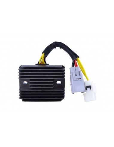 Suzuki Boulevard C90 VL1500 Burgman AN400 2007-2020 QFS Fuel Pump