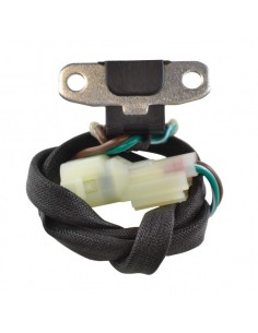 Capteur Allumage Motoneige Arctic Cat OEM 3007-318 