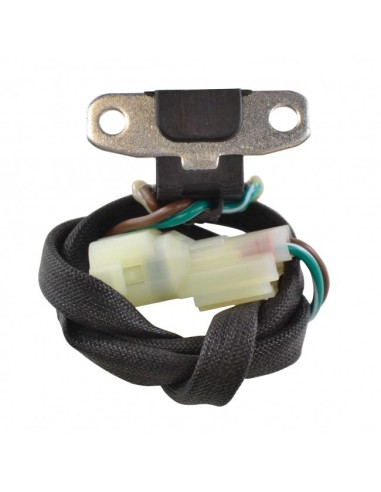 Capteur Allumage Motoneige Arctic Cat OEM 3007-318 