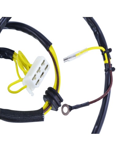 Stator Allumage Polaris 800 Sportsman OEM 4010911