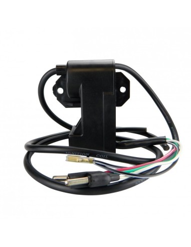Boitier CDI SkiDoo Skandic 500 Safari 377 447 MXZ 440 Lynx FCE 5900 6900 Forest 440 XR500 OEM  420965757 420965591 420965753