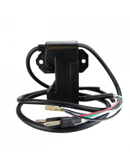 Boitier CDI SkiDoo Skandic 500 Safari 377 447 MXZ 440 Lynx FCE 5900 6900 Forest 440 XR500 OEM  420965757 420965591 420965753