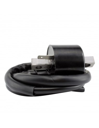 External Coil Polaris Outlaw Worker 500 Big Boss 500 Xplorer 500 Sportsman 400 500 Ranger 425 500 OEM 3085228 3085227 4011669