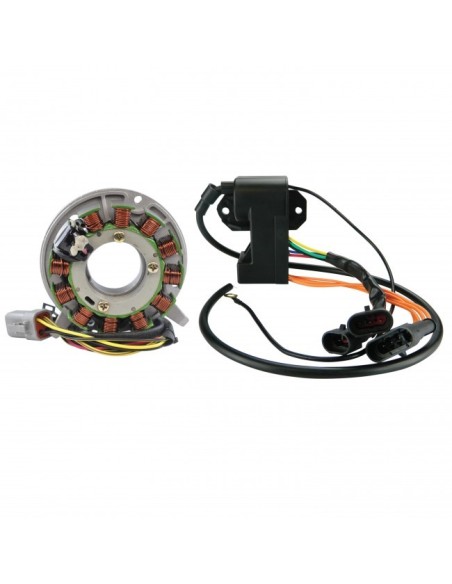 Kit Stator CDI SkiDoo Freestyle 300 Skandic 300 Tundra 280R OEM 420889368 420889366 420889369 512060006 415098300 515175459