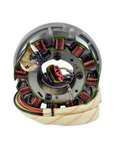 Kit Stator CDI SkiDoo Skandic WT SWT SUV GTX MXZ Summit 550F OEM 420889365 420886602 410922749 2
