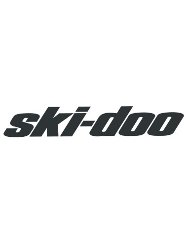 Relais Démarreur SkiDoo Expedition Grand Touring GSX Tundra Summit Renegade OEM 515176501