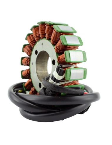Stator Allumage Husqvarna SM630S TE630 SM610 TE610 OEM 8000A6767 8000A6778