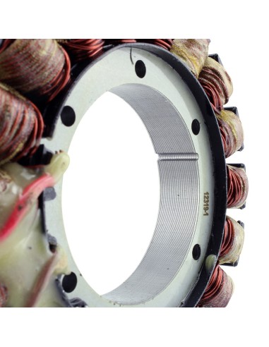 Stator SkiDoo Backcountry 600 850 MXZ600 Freeride 850 MXZ850 MXZX850 Renegade 600 850 Summit 600 850 OEM 420864420