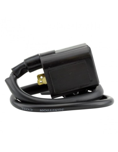 External Ignition Coil Polaris Hawkeye 400 Sportsman 400 450 500 Ranger 400 425 500 OEM 3089252 3089239