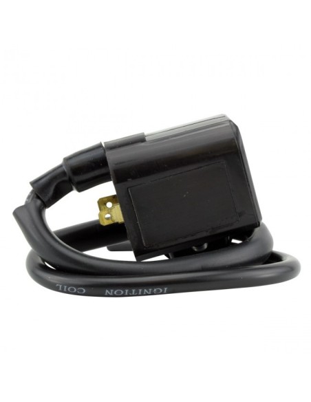 External Ignition Coil Polaris Hawkeye 400 Sportsman 400 450 500 Ranger 400 425 500 OEM 3089252 3089239