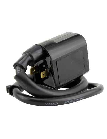 External Ignition Coil Polaris Hawkeye 400 Sportsman 400 450 500 Ranger 400 425 500 OEM 3089252 3089239