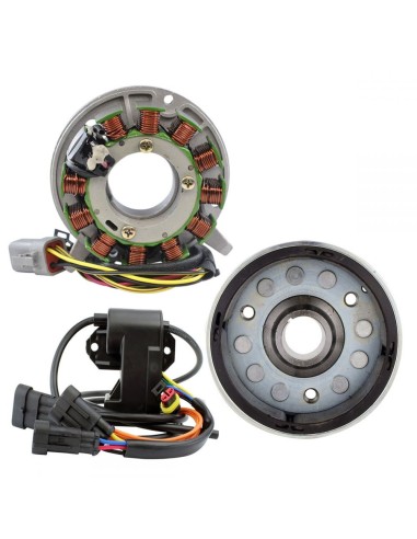 Ignition Replacement Kit SkiDoo Expedition 550 Grand Touring 550 Legend 550 Skandic 550 Summit 550