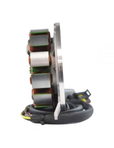 Kit Stator Rotor CDI Bobine SkiDoo Expedition 550 Grand Touring 550 Legend 550 Skandic 550 Summit 550 2