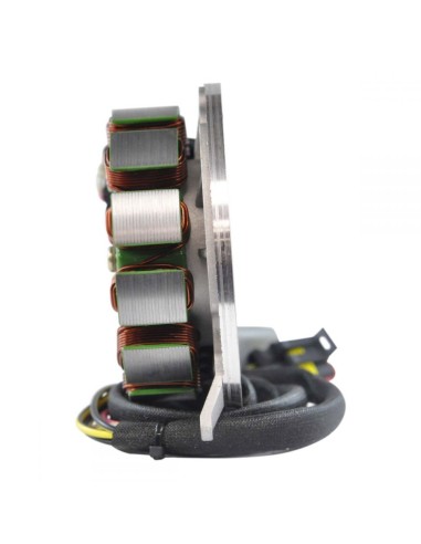 Kit Stator Rotor CDI Bobine SkiDoo Expedition 550 Grand Touring 550 Legend 550 Skandic 550 Summit 550