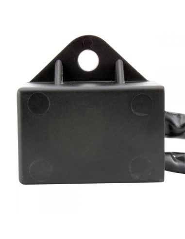 CDI Unit Polaris Trail Boss Blazer 250 350 Xplorer 250 300 Sport 400 Sportsman 400 350L Big Boss 250 300 OEM 3083977 3084820