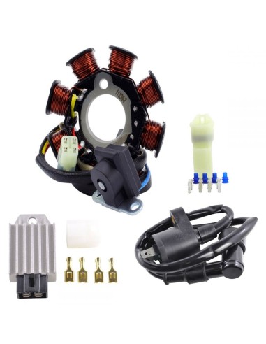 Kit Stator Régulateur Bobine HT Polaris RZR 170 Sportsman 90 Predator 50 Outlaw 50 90 OEM 0453559 0454949