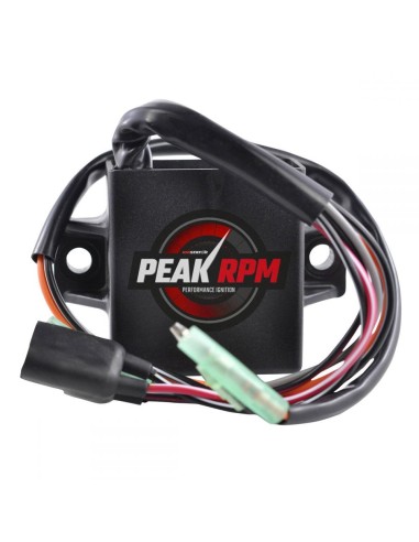 Boitier CDI Arctic Cat ZL550 ZR440 Panther 550 Cougar 550 Bearcat 550 OEM 3006-416 3005-408 3005-125