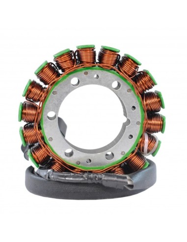 Stator Arctic Cat Bearcat 7000 Pantera 7000 M7000 ZR7000 XF7000 OEM 3020-437 3020-355