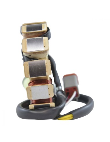 Stator SkiDoo Mach Z800 ach 1 700 Formula III 600 700 800 OEM 410923000 410922911