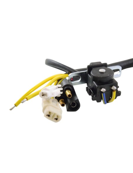 Stator SkiDoo Formula III 600 Mach 1 700 Formula III 600 Formula Mach Z 780 OEM 410919300