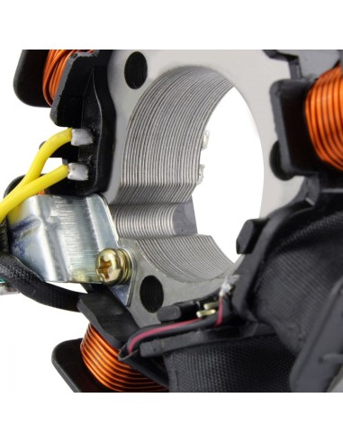 Stator Honda TRX 250X TRX250 EX Sportrax OEM 31120-HN6-A31 31120-HN6-A30