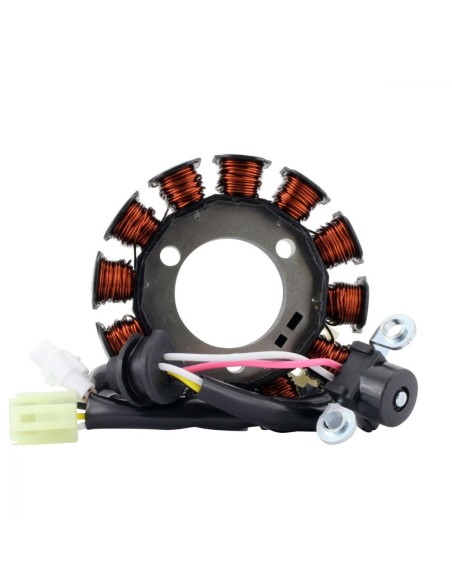 Alternateur Stator Yamaha TTR110 OEM 5B6-H1410-01-00 5B6-H1410-00-00