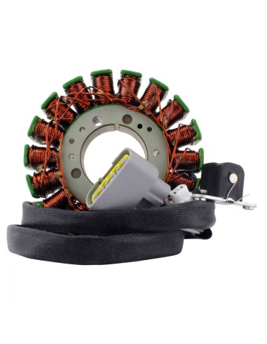 Stator Arctic Cat ZR9000 XF9000 M9000 OEM 3020-396