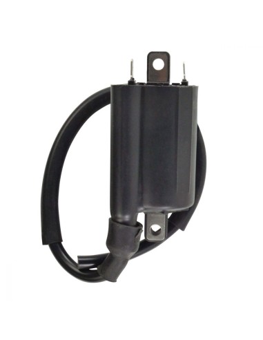 Bobine HT Kawasaki KEF300 Lakota KAF450 Mule 1000 OEM 21121-1240 21121-1162