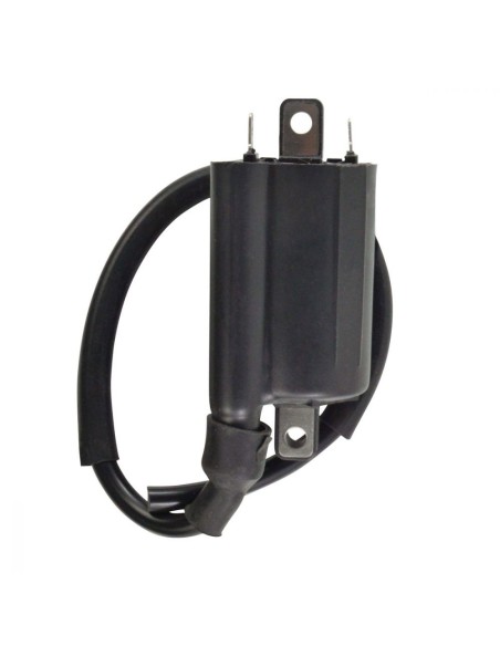 Bobine HT Kawasaki KEF300 Lakota KAF450 Mule 1000 OEM 21121-1240 21121-1162