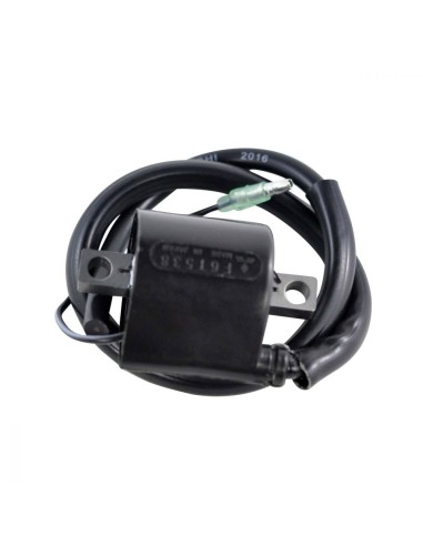 Bobine HT Yamaha XR1800 Waverunner GP XL XLT 1200 Waverunner GP 1300R OEM 66V-85570-00-00