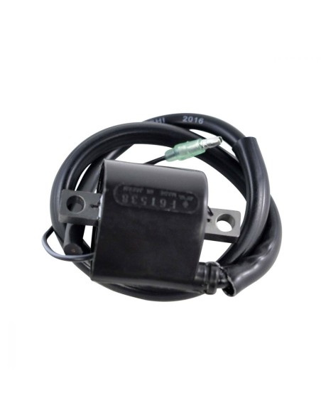Bobine HT Yamaha XR1800 Waverunner GP XL XLT 1200 Waverunner GP 1300R OEM 66V-85570-00-00