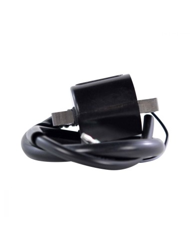 Bobine HT Yamaha XR1800 Waverunner GP XL XLT 1200 Waverunner GP 1300R OEM 66V-85570-00-00