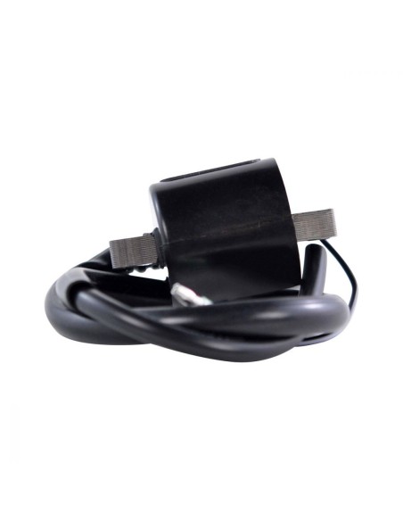 Bobine HT Yamaha XR1800 Waverunner GP XL XLT 1200 Waverunner GP 1300R OEM 66V-85570-00-00