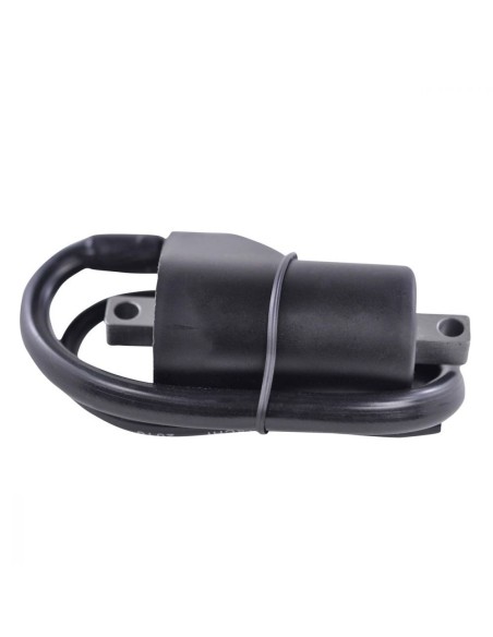 Ignition Coil Polaris 650 RXL EFI OEM 3084103 3085212