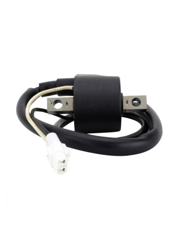 Bobine HT Polaris 600 IQ Widetrak 600 Switchback 600 Rush 600 IQ Widetrak 600 RMK 600 IQ Shift OEM 4012169