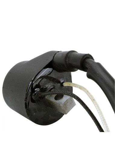 Bobine HT Polaris 600 IQ Widetrak 600 Switchback 600 Rush 600 IQ Widetrak 600 RMK 600 IQ Shift OEM 4012169