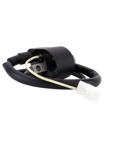 Ignition Coil Arctic Cat ZR8000 XF8000 M8 M1000 Sno Pro F8 Firecat 800 1000 CrossFire 800 1000 OEM 3007-320 3007-548
