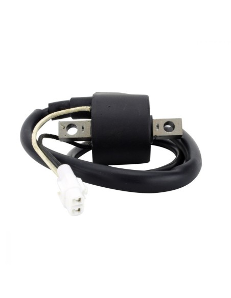 Ignition Coil Arctic Cat ZR8000 XF8000 M8 M1000 Sno Pro F8 Firecat 800 1000 CrossFire 800 1000 OEM 3007-320 3007-548