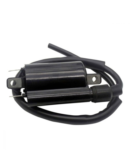 Ignition Coil Arctic Cat ZR9000 XF9000 M9000 ProCross ProClimb M1100 Z1 TZ1 OEM 3007-836 3007-835