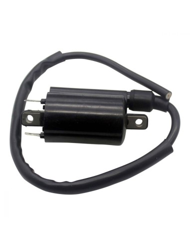 Ignition Coil Arctic Cat ZR9000 XF9000 M9000 ProCross ProClimb M1100 Z1 TZ1 OEM 3007-836 3007-835