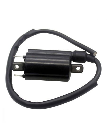 Ignition Coil Arctic Cat ZR9000 XF9000 M9000 ProCross ProClimb M1100 Z1 TZ1 OEM 3007-836 3007-835