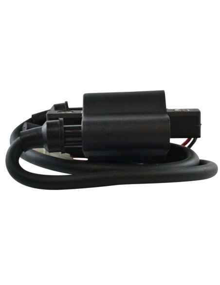 Bobine HT Arctic Cat ZR 4000 6000 Sno Pro 500 T500 M6 600 F5 F6 Firecat CrossFire 500 600 OEM 3007-451