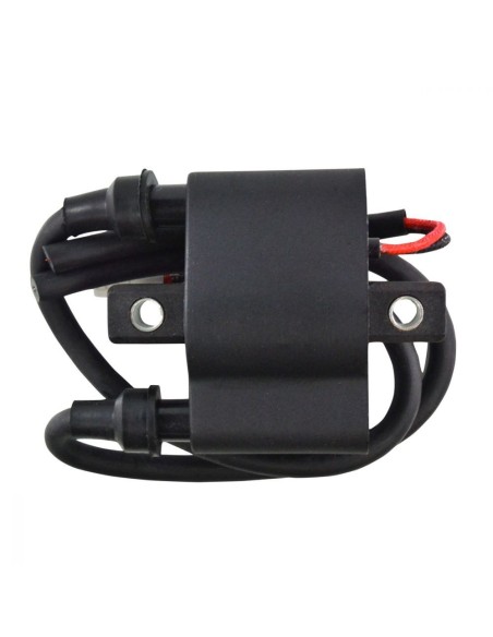 Bobine HT Arctic Cat ZR 4000 6000 Sno Pro 500 T500 M6 600 F5 F6 Firecat CrossFire 500 600 OEM 3007-451